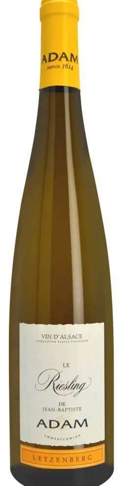Adam Riesling Letzenberg Bio
