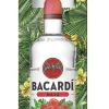 Bacardí Razz met glas