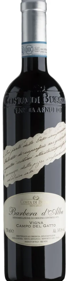 Costa di Bussia Barbera d'Alba Campo del Gatto