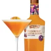 De Kuyper Passionfruit Martini Cocktail