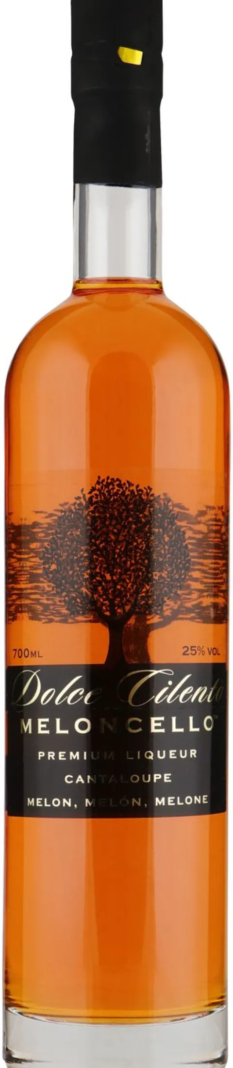 Dolce Cilento Meloncello