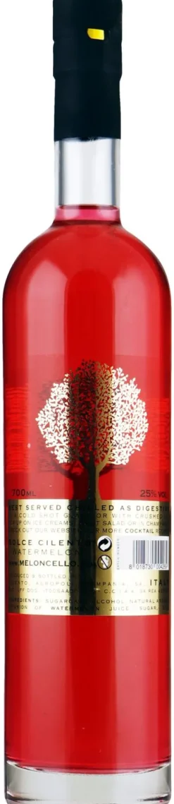 Dolce Cilento Watermeloncello