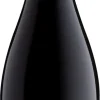 Errazuriz Aconcagua Cuvée Pinot Noir