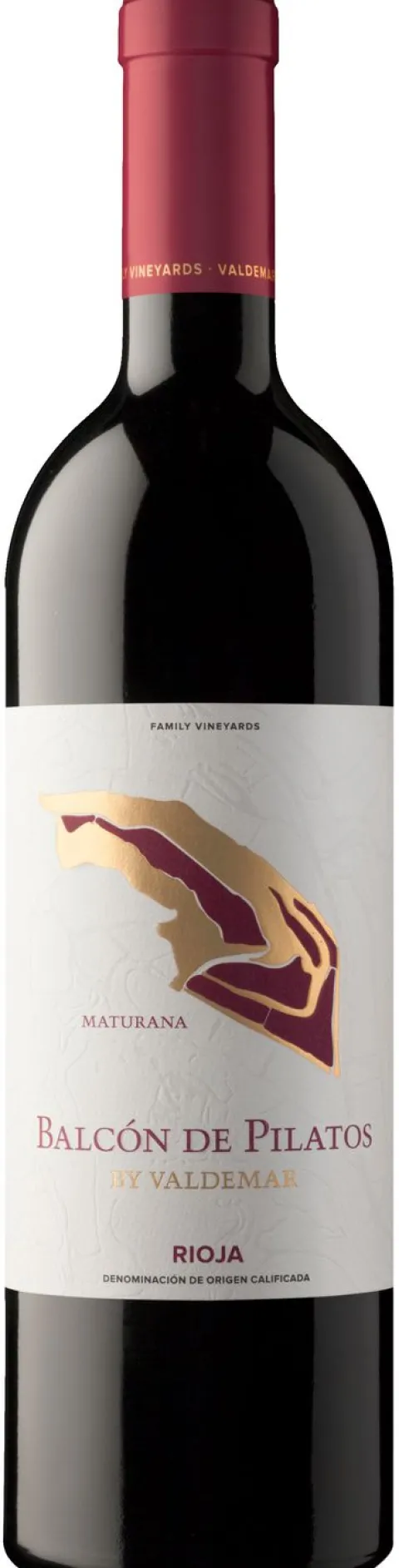 Inspiración Valdemar Maturana