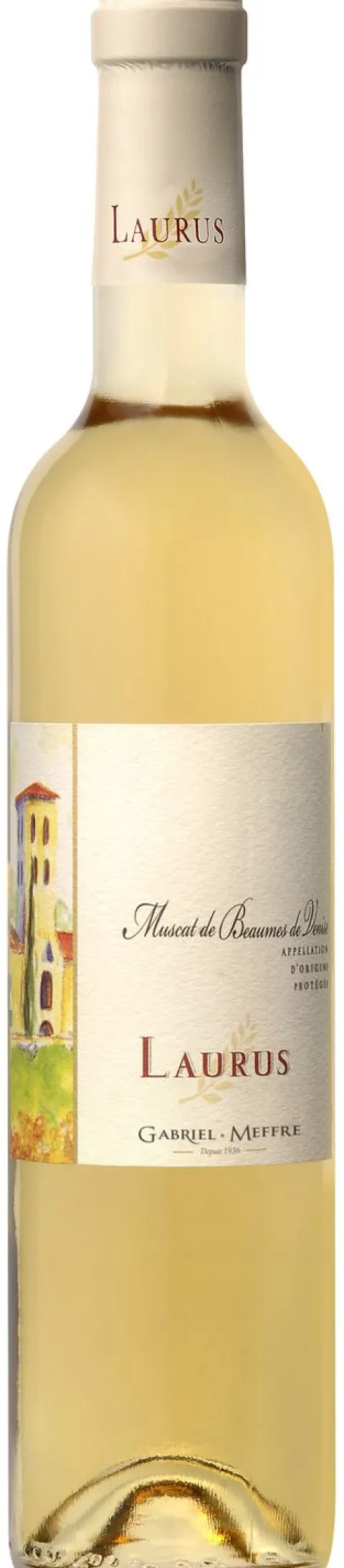 Laurus Muscat Beaume de Venise
