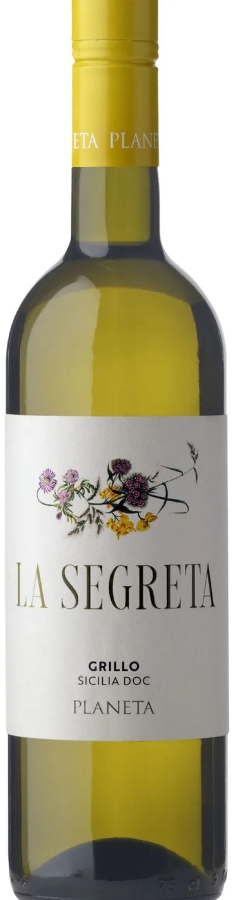 Planeta Segreta Grillo