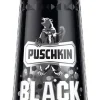 Puschkin Black Sun