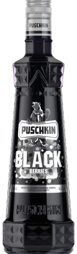 Puschkin Black Sun