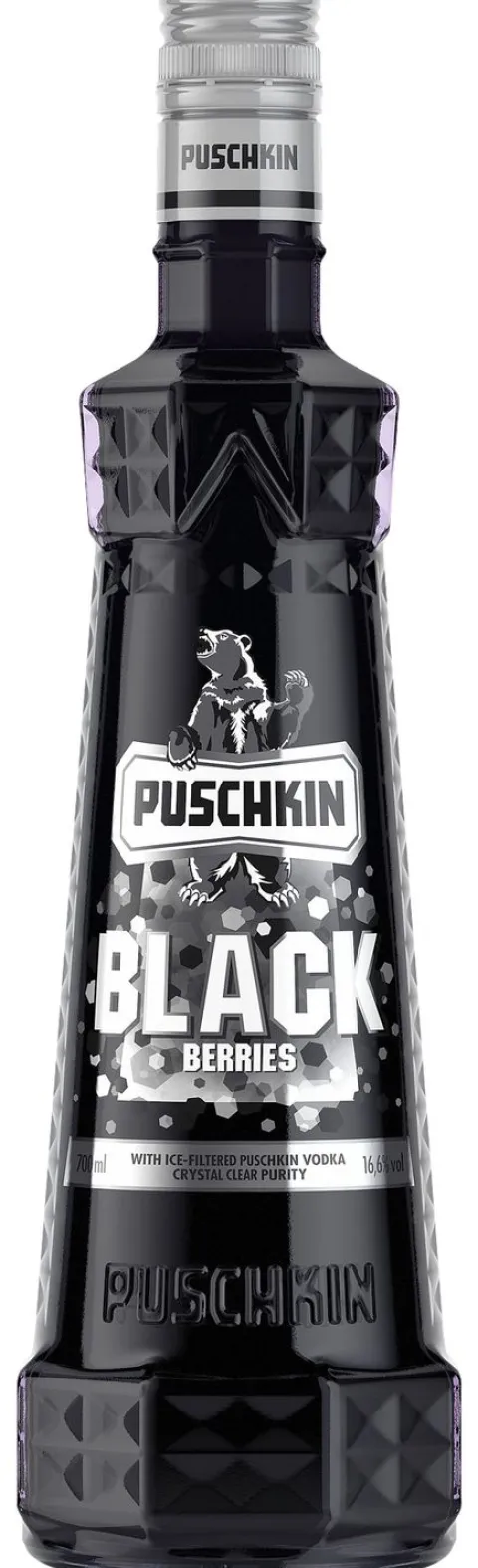 Puschkin Black Sun