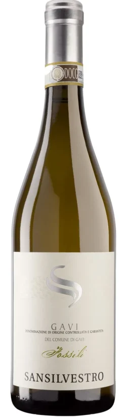 San Silvestro Gavi Fossili