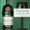 Tanqueray London Dry Gin Cadeaupakket met Coppa glas